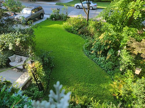 A lawn in Atlanta, GA