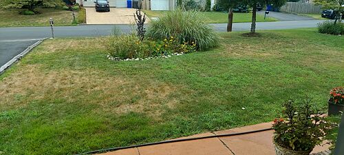 A lawn in Brick, NJ