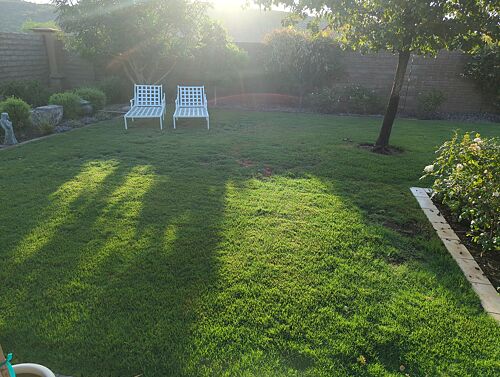 A lawn in Peoria, AZ