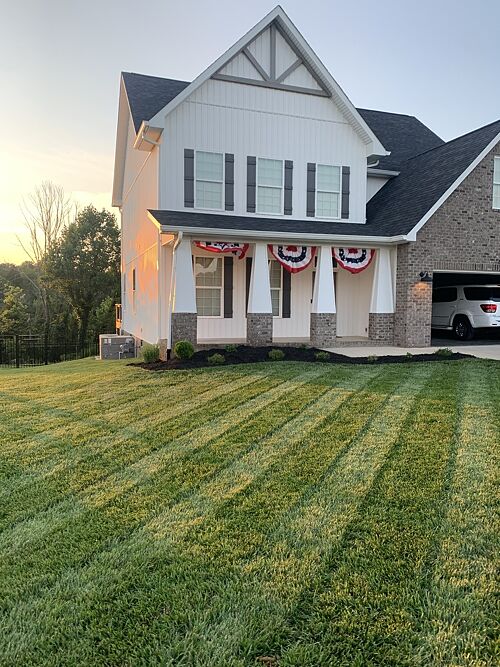 A lawn in Knoxville, TN