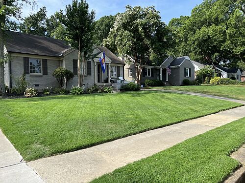 A lawn in Memphis, TN