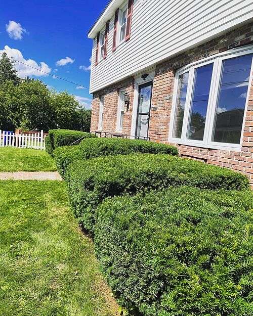 A lawn in Manchester, NH