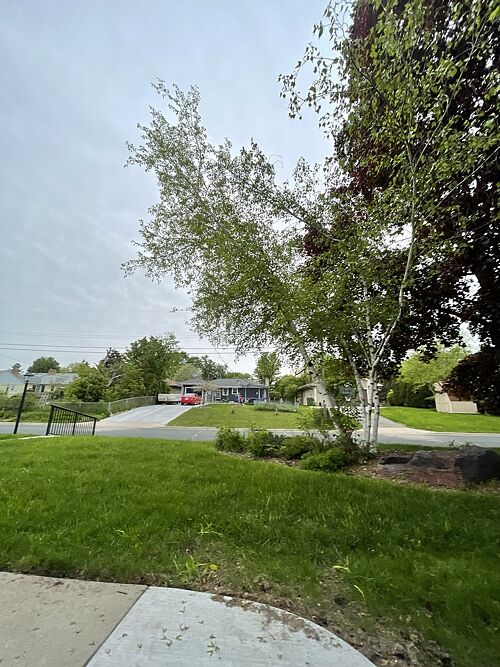 A lawn in Minneapolis, MN