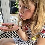 Image of Review by Kim P. on  2 Aug 2022 number 1