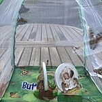 Image of Review by Sarah G. on  5 Aug 2022 number 1