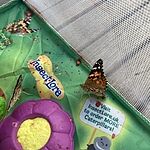 Image of Review by Sarah G. on  5 Aug 2022 number 3