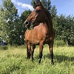 Image of Review by Monique A. on  5 Aug 2022 number 1