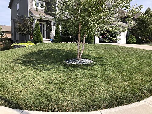 A lawn in Lee’s Summit, MO
