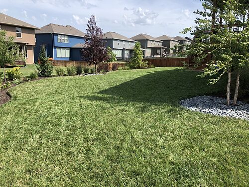 A lawn in Lee’s Summit, MO