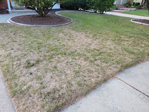 A lawn in Milwaukee, WI