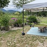 Image of Review by Barbara S. on 13 Aug 2022 number 2