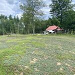 Image of Review by Barbara S. on 13 Aug 2022 number 1