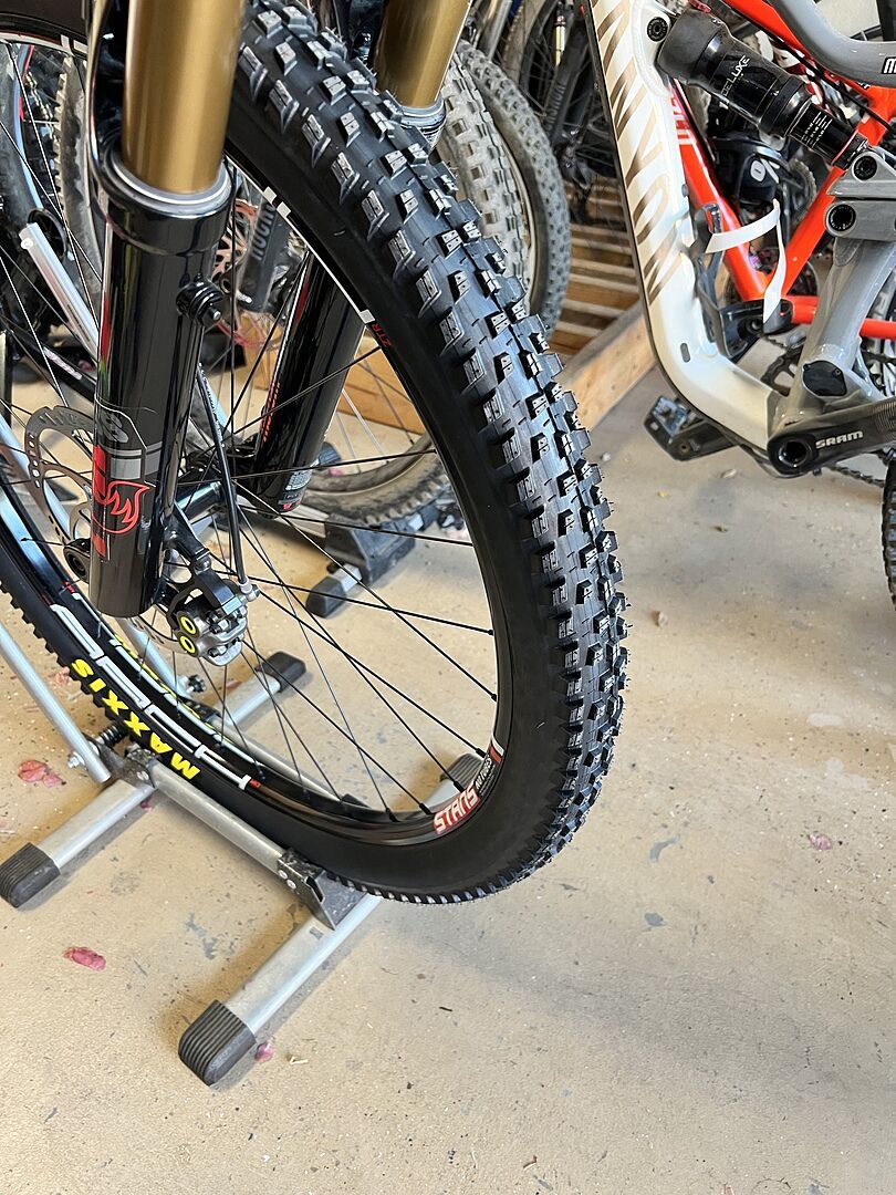 Forekaster - MAXXIS US