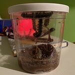 Image of Review by Adriana A. on 16 Aug 2022 number 1