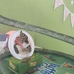Image of Review by Adriana A. on 16 Aug 2022 number 3