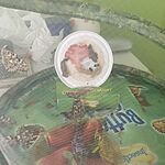 Image of Review by Adriana A. on 16 Aug 2022 number 2