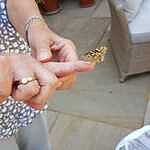Image of Review by Jane B. on 16 Aug 2022 number 1