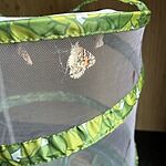 Image of Review by Seamas .. on 23 Aug 2022 number 2