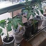 Image of review by Richard B. on May 10, 17 number 1