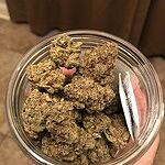 Customer Review Image