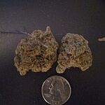 Customer Review Image