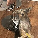 Image of Review by hector on 19 Sep 2022 number 1