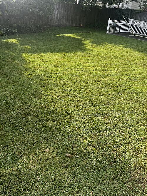 A lawn in Wilmington, NC