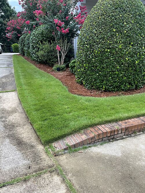 A lawn in Greenville, SC