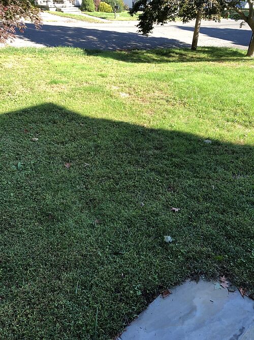 A lawn in CT