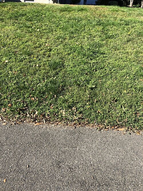A lawn in CT