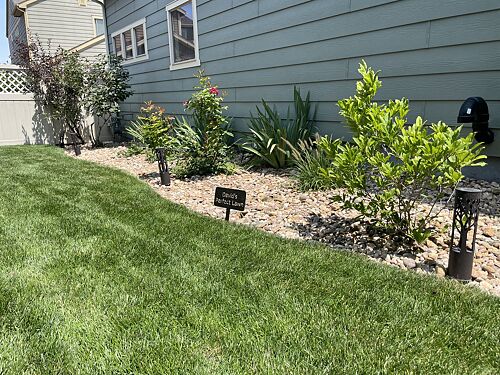 A lawn in Parker, CO