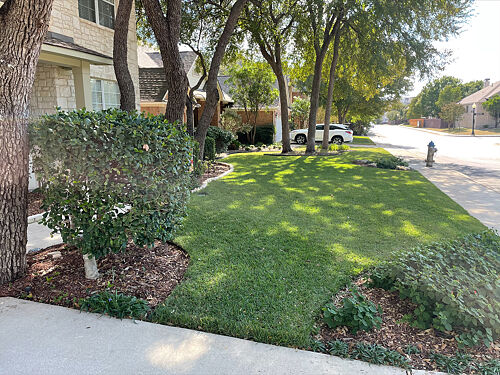 A lawn in San Antonio, TX