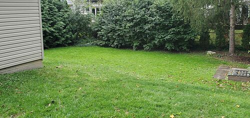 A lawn in Birmingham, MI