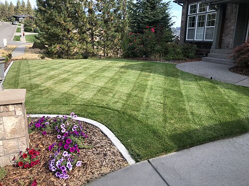 A lawn in Spokane, WA