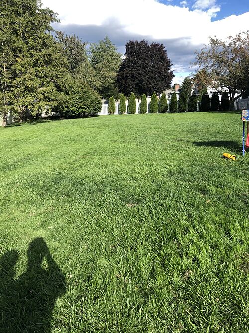 A lawn in Connecticut