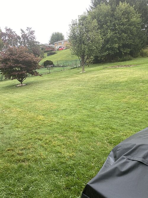 A lawn in Monongahela, PA
