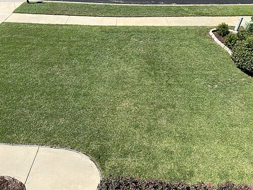 A lawn in Irmo, SC