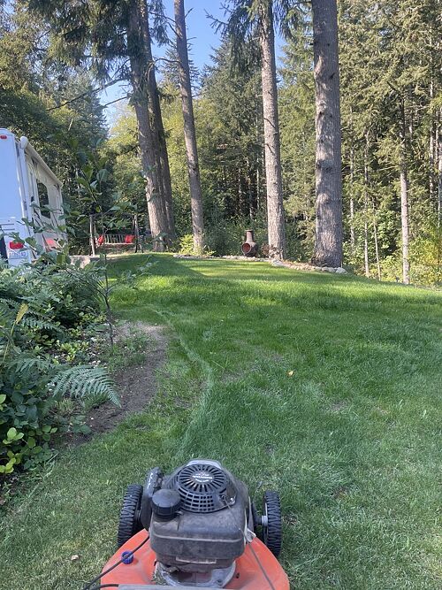 A lawn in Port Orchard, WA