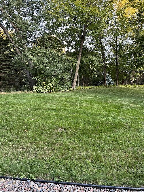 A lawn in WI