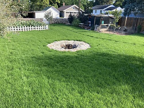 A lawn in Windsor, CO