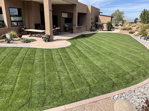 A lawn in Albuquerque, NM