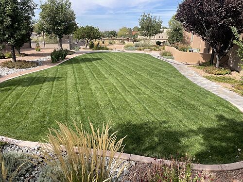 A lawn in Albuquerque, NM