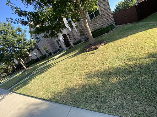 A lawn in Prosper, TX