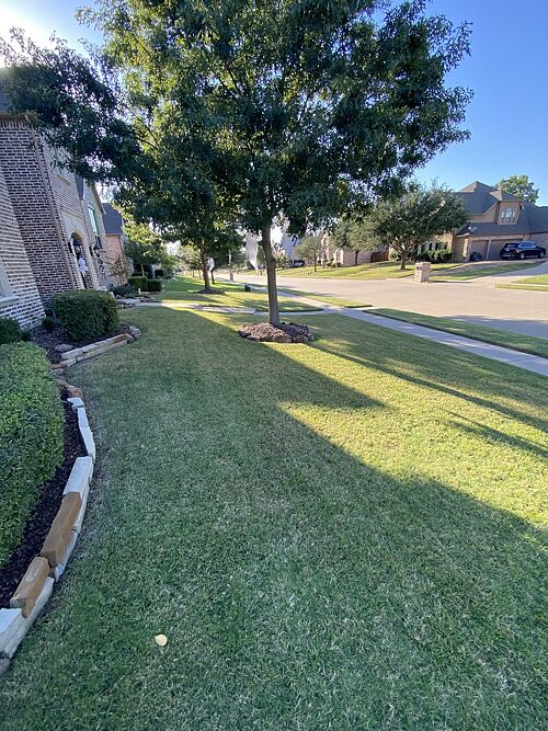 A lawn in Prosper, TX