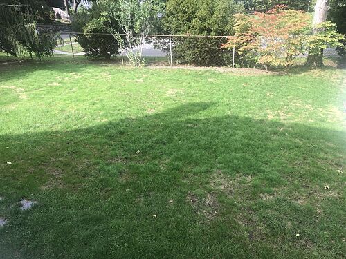 A lawn in Greater Boston, MA