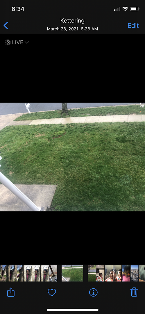 A lawn in Maryland
