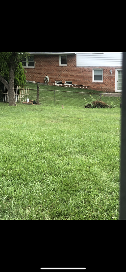 A lawn in Maryland