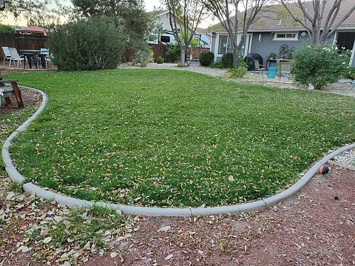 A lawn in Sparks, NV