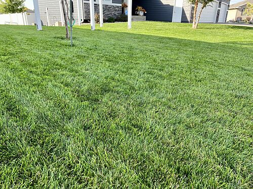 A lawn in Sioux Falls, SD