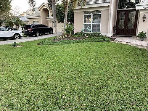 A lawn in Orlando, FL